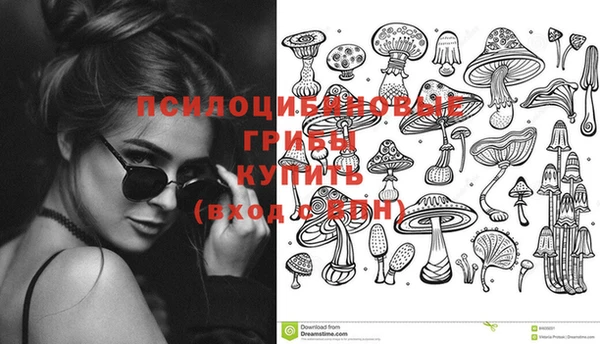 не бодяженный Белокуриха