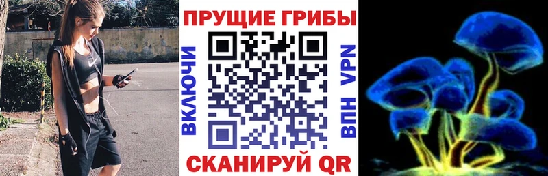 Галлюциногенные грибы мицелий  Калуга 
